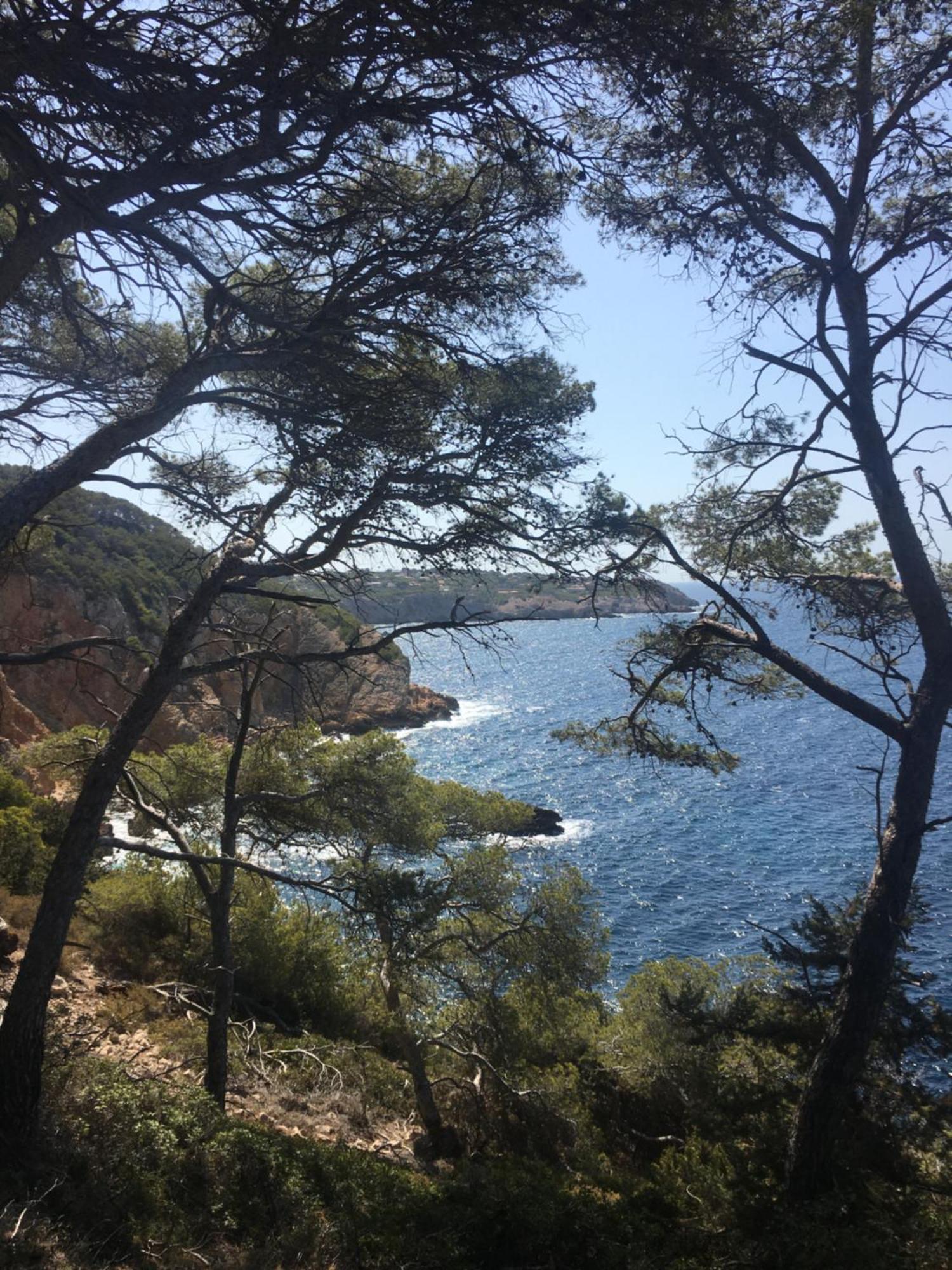 Studio cosy proche mer Saint-Cyr-sur-Mer Esterno foto